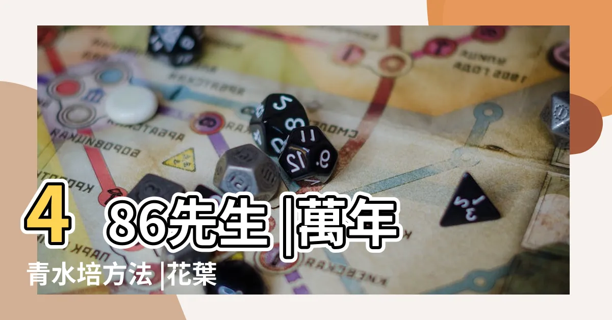 【萬年青 水耕】486先生 |萬年青水培方法 |花葉萬年青水培方法介紹 |