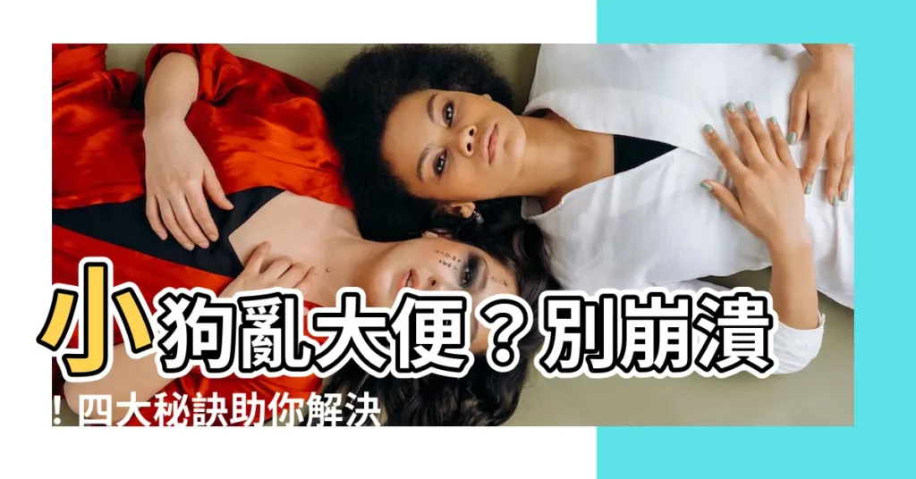 【小狗亂大便】小狗亂大便？別崩潰！四大秘訣助你解決煩惱