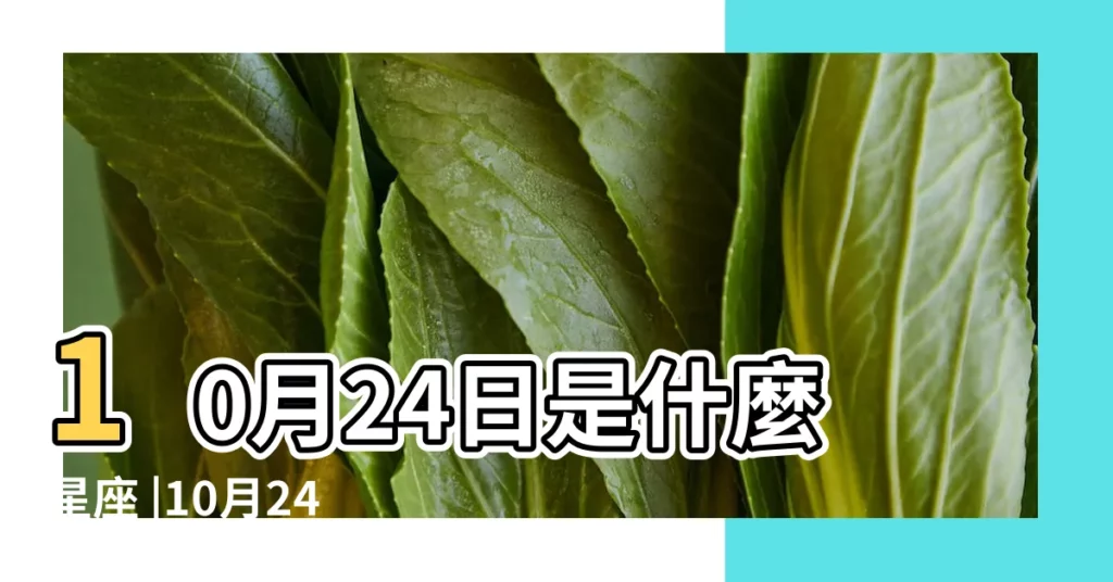 10月24日是什麼星座 |10月24號什麼星座 |天秤座或天蠍座 |【10月24號是哪個星座】