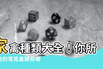 【禽類有哪些】家禽種類大全！你所好奇的常見禽類有哪些？