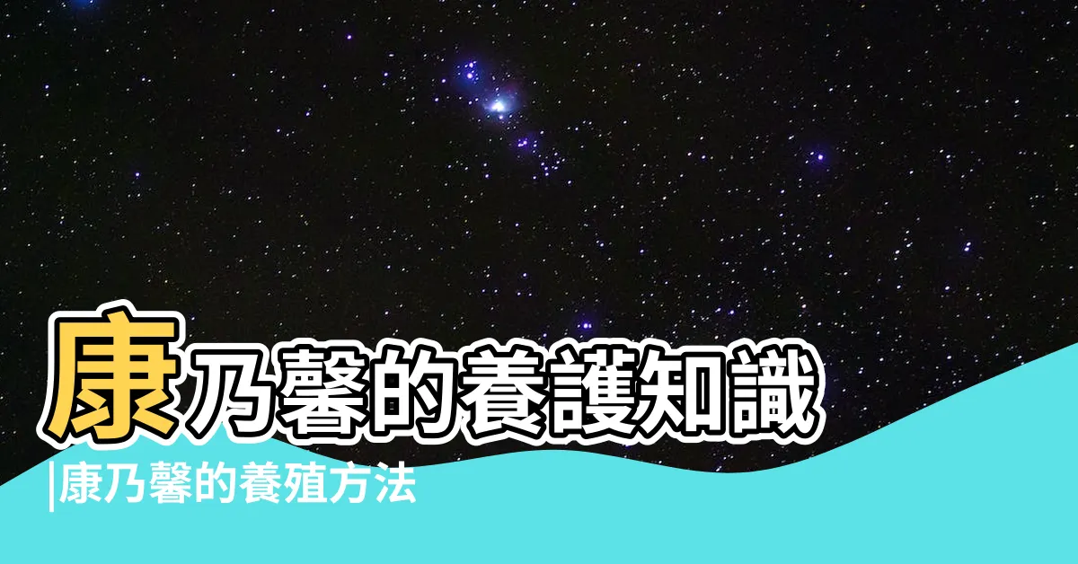 【種康乃馨】康乃馨的養護知識 |康乃馨的養殖方法 |康乃馨日常養護照顧方法 |