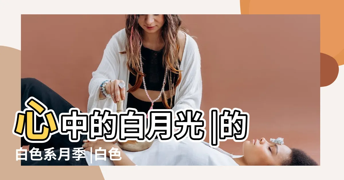 【白色月季】心中的白月光 |的白色系月季 |白色系月季盤點 |