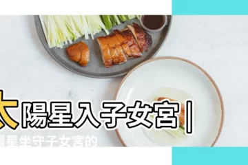 【子女宮 太陽得】太陽星入子女宮 |太陽星坐守子女宮的分析 |太陽星系坐子女宮之解譯 |
