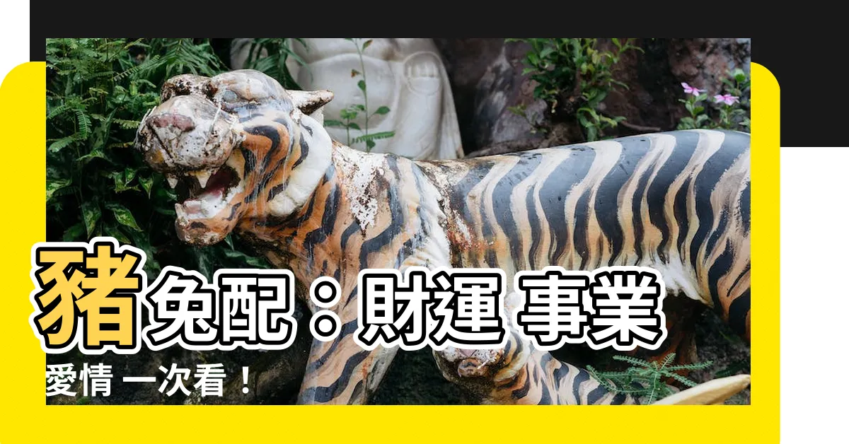 【豬和兔子】豬兔配：財運 事業 愛情 一次看！