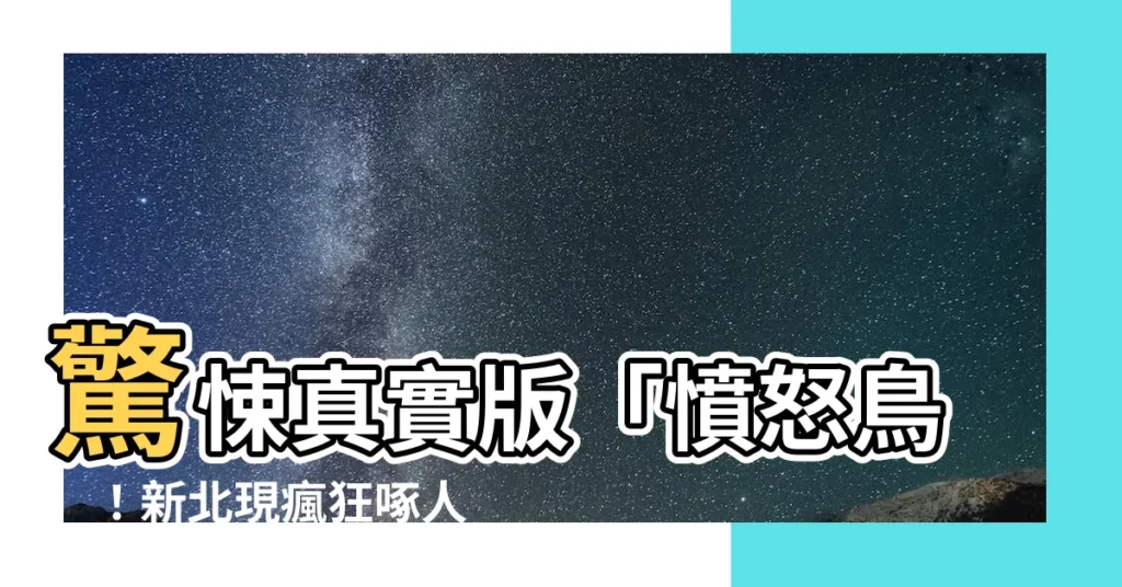 【被鳥啄】驚悚真實版「憤怒鳥」！新北現瘋狂啄人事件！
