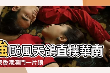【2017年8月22日圖片】強颱風天鴿直撲華南廣東香港澳門一片狼藉 |維基百科 |每日圖片 |