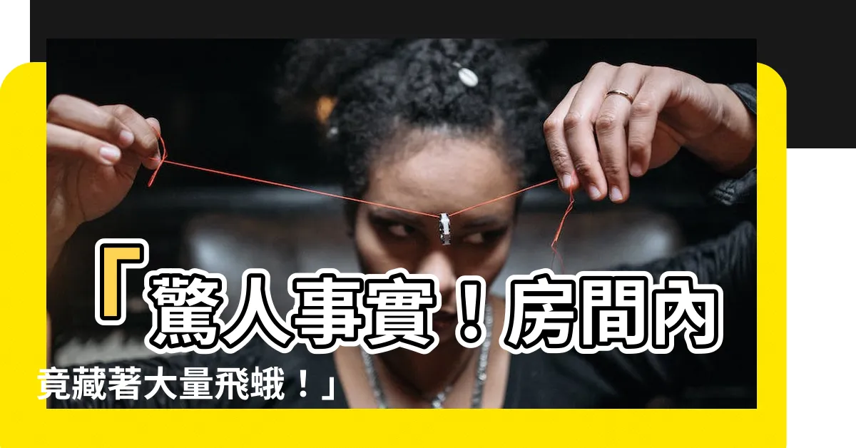 【房間有飛蛾】「驚人事實！房間內竟藏著大量飛蛾！」