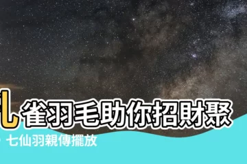 【孔雀羽毛 風水】孔雀羽毛助你招財聚富，七仙羽親傳擺放秘訣！