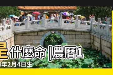 【84年2月4日生的運程】是什麼命 |農曆1984年2月4日生日算命 |1984年2月4日出生的人命好嗎 |