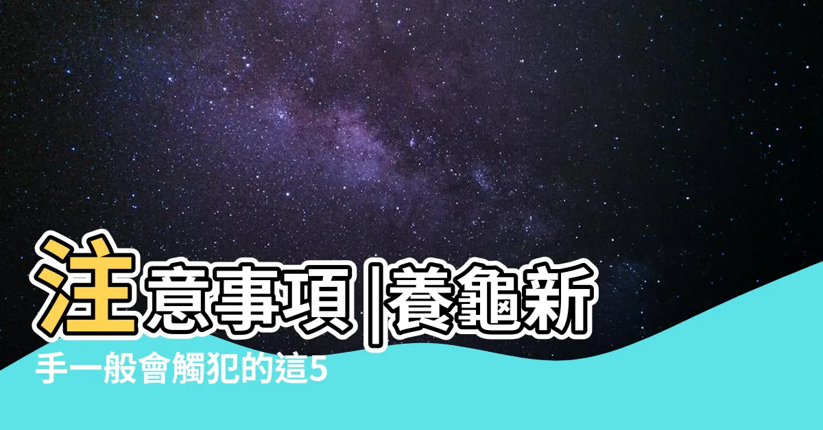 【養烏龜的 禁忌】注意事項 |養龜新手一般會觸犯的這5個禁忌 |烏龜怎麼養 |