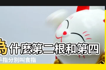 【十二根手指有什麼説法】為什麼第二根和第四根手指分別叫食指 |我手指頭有10個簸箕有什麼説法嗎 |不同手指戴戒指的含義 |