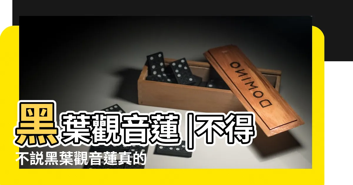 【黑麪觀音蓮】黑葉觀音蓮 |不得不説黑葉觀音蓮真的是CP值超高的觀葉植物 |黑葉觀音蓮 |