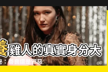【養雞人】養雞人的真實身分大揭秘：善良還是邪惡？