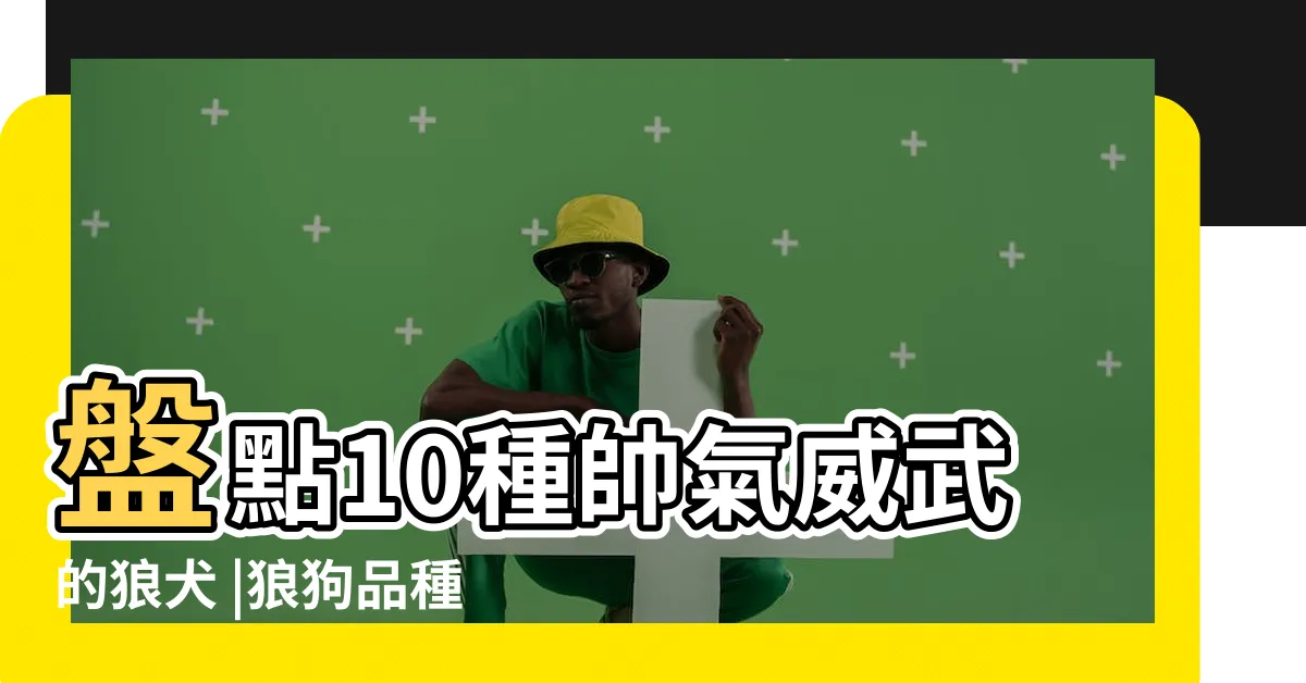 【狼犬品種】盤點10種帥氣威武的狼犬 |狼狗品種圖片大全 |狼狗的種類主要有哪些 |