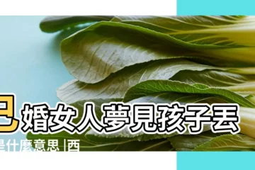 【已婚女人夢見帶孩子坐火車】已婚女人夢見孩子丟了是什麼意思 |西林為已婚婦女旅行的夢的解析 |夢見女兒剛趕上火車 |