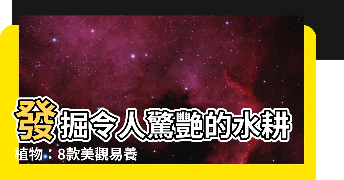 【可以水耕的植物】發掘令人驚艷的水耕植物：8款美觀易養的室外適用植物推薦！