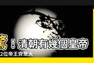 【清朝有幾個皇帝】驚！清朝有幾個皇帝？12位帝王齊聚大爆料