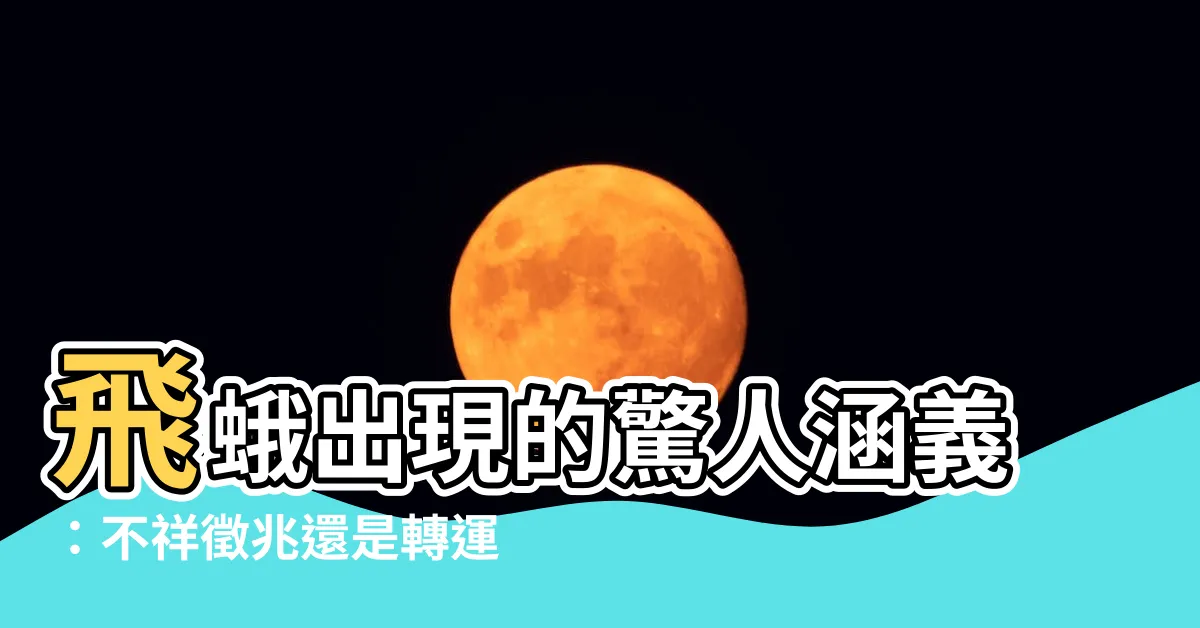 【飛蛾意思】飛蛾出現的驚人涵義：不祥徵兆還是轉運吉兆？