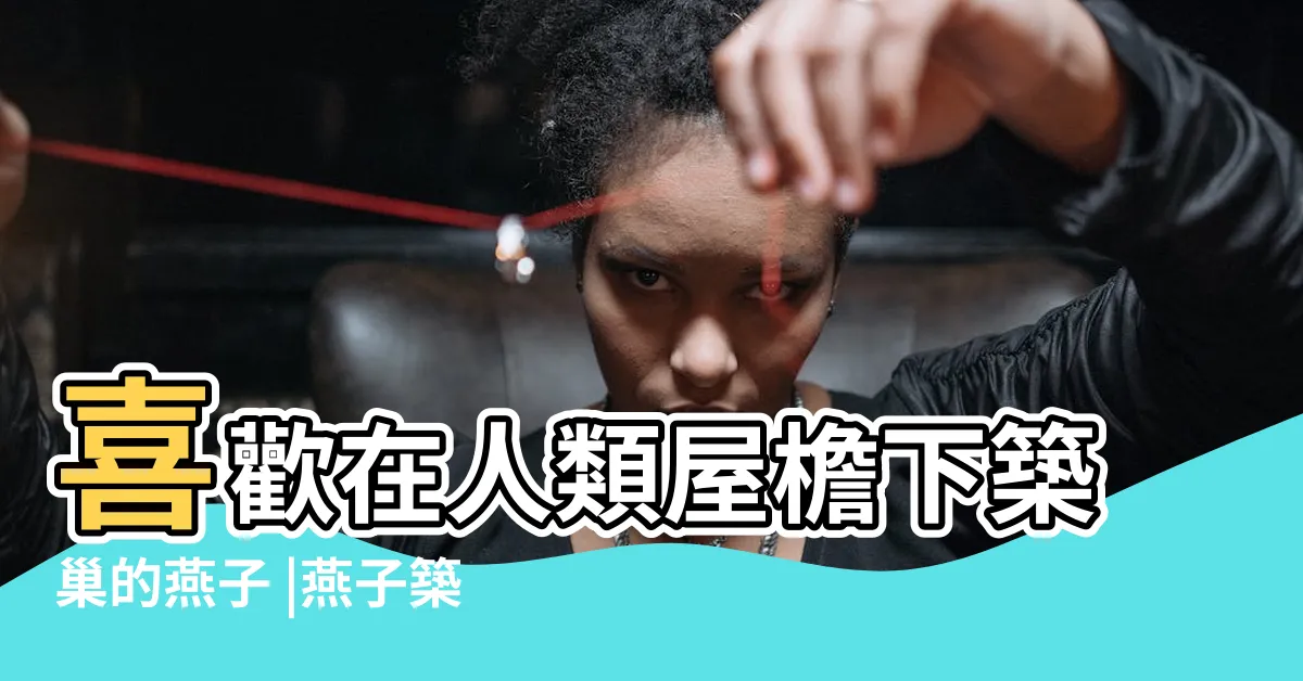 【燕子在自家築巢】喜歡在人類屋檐下築巢的燕子 |燕子築巢 |4生肖準備一飛沖天 |