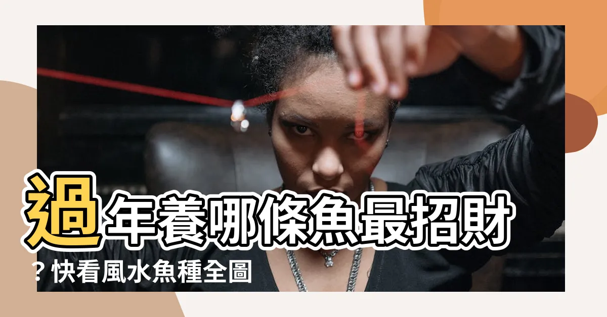 【什麼魚招財】過年養哪條魚最招財？快看風水魚種全圖鑑
