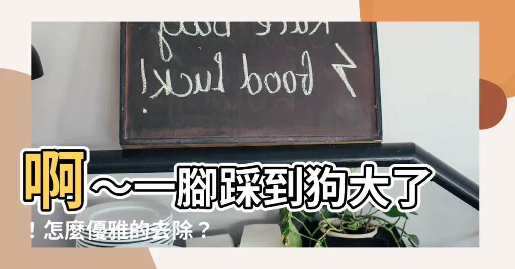 【踩到狗糞怎麼辦】啊～一腳踩到狗大了！怎麼優雅的去除？