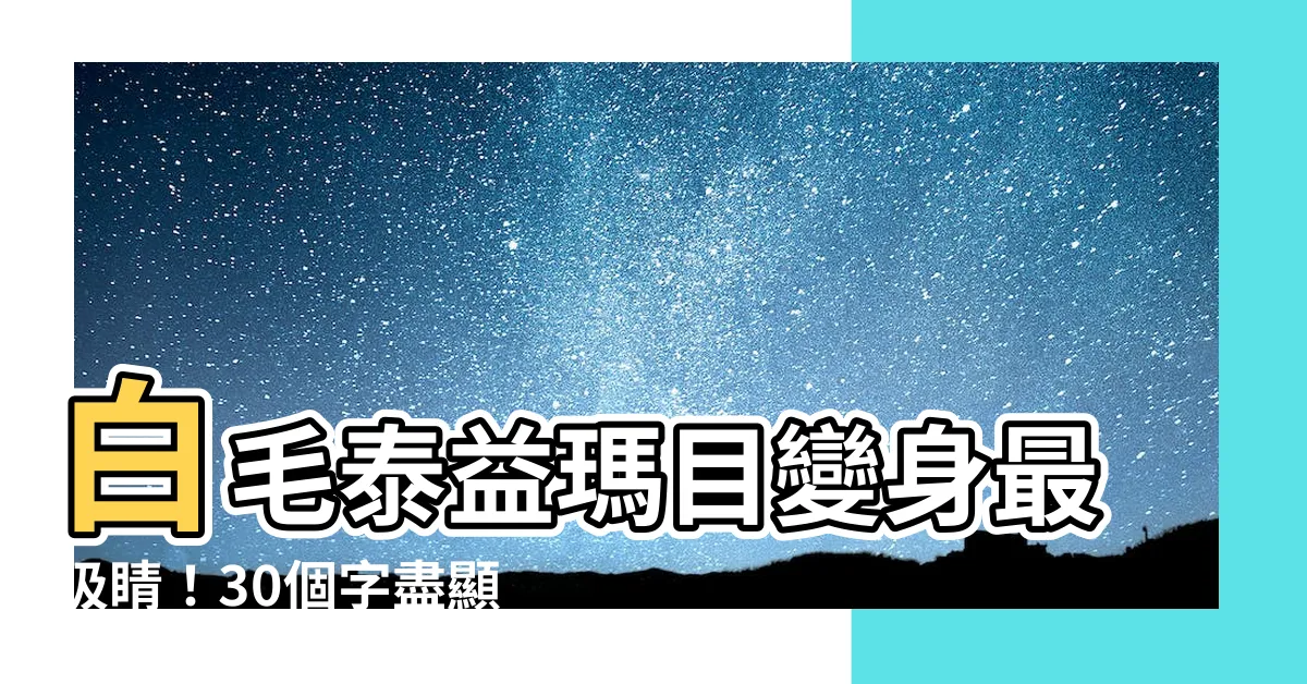 【白毛】白毛泰益瑪目變身最吸睛！30個字盡顯個性魅力