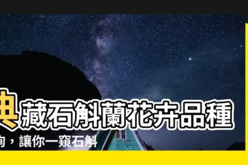 【石斛蘭花品種查詢】典藏石斛蘭花卉品種查詢，讓你一窺石斛蘭的神奇世界！