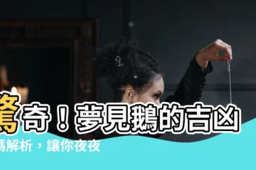 【夢見鵝號碼】驚奇！夢見鵝的吉凶號碼解析，讓你夜夜安眠，夢中也有好運隨身！
