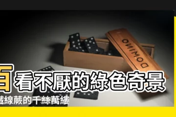 【鐵線蕨】百看不厭的綠色奇景：鐵線蕨的千絲萬縷