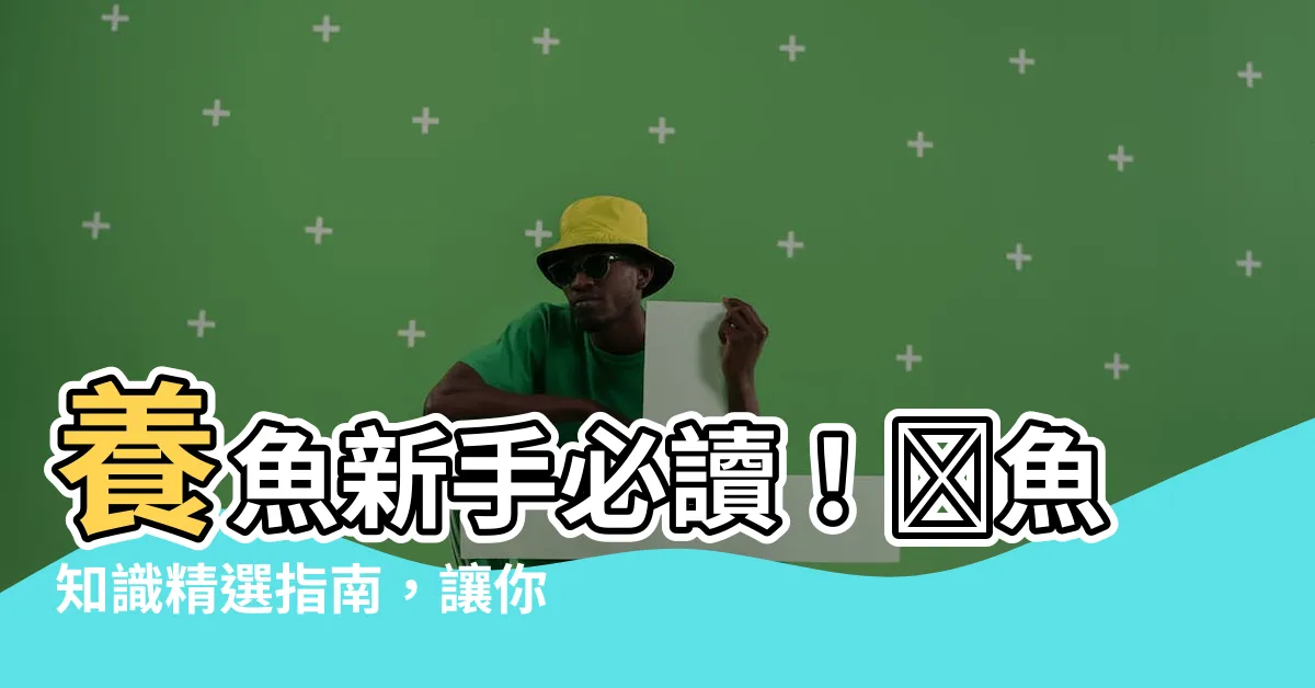 【養魚】養魚新手必讀！養魚知識精選指南，讓你一次上手