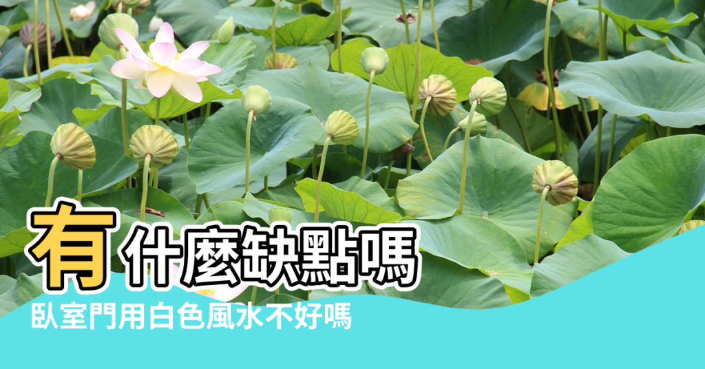 【臥室門用白色風水不好嗎】有什麼缺點嗎 |臥室門用白色風水不好嗎 |風水學上對室內門的顏色有沒有 |