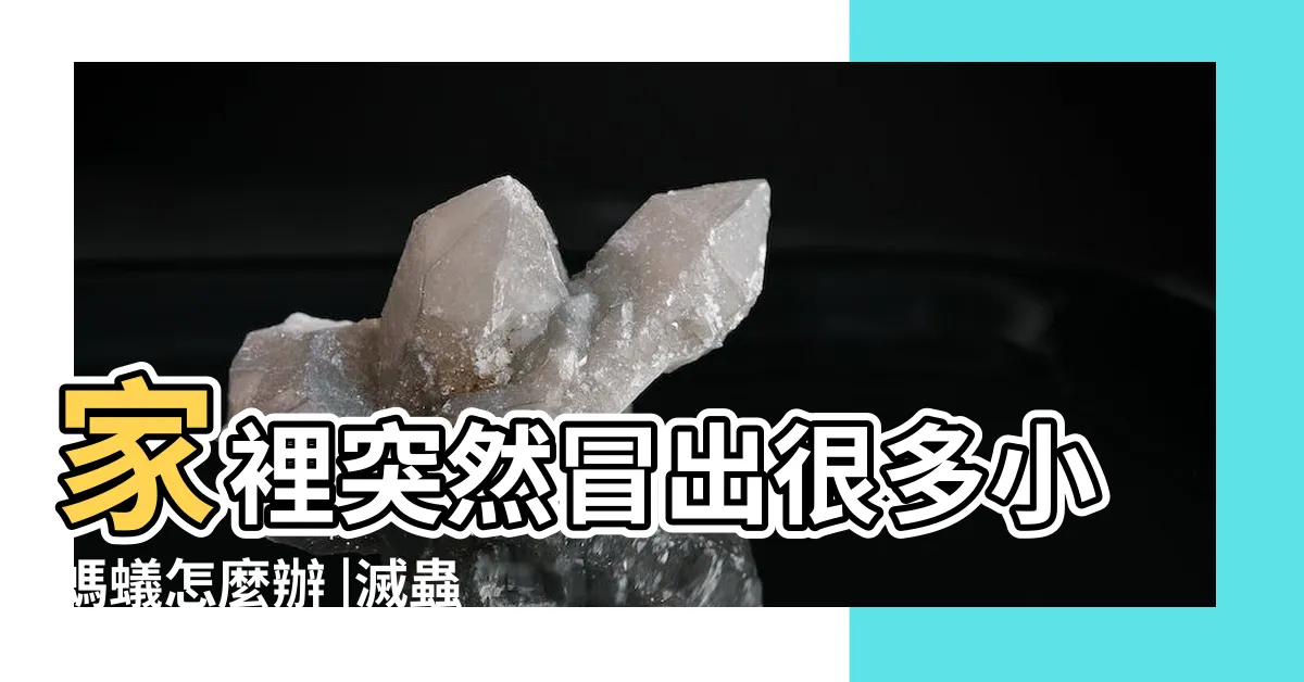 【螞蟻代表什麼】家裡突然冒出很多小螞蟻怎麼辦 |滅蟲專家教3招徹底消滅 |預示著什麼 |