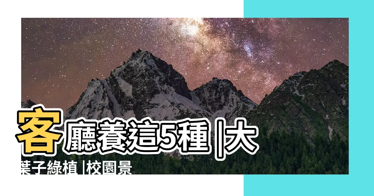 【大葉子的樹】客廳養這5種 |大葉子綠植 |校園景觀植物 |