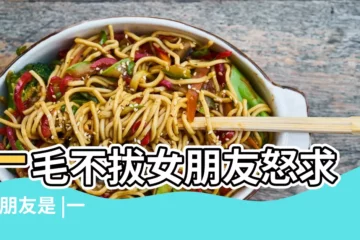 【一毛不拔鐵公雞的男友】一毛不拔女朋友怒求 |男朋友是 |一毛不拔女朋友怒求 |