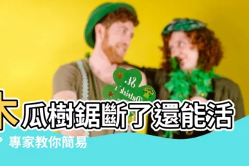 【木瓜樹鋸斷】木瓜樹鋸斷了還能活嗎？ 專家教你簡易方法幫它起死回生！