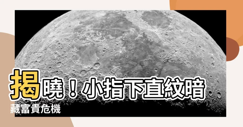 【小指下直紋】揭曉！小指下直紋暗藏富貴危機