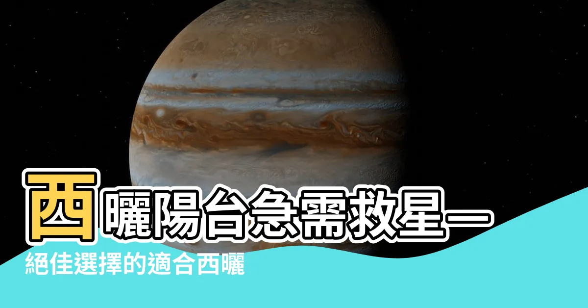 【適合西曬陽台的植物】西曬陽台急需救星—絕佳選擇的適合西曬陽台的植物！