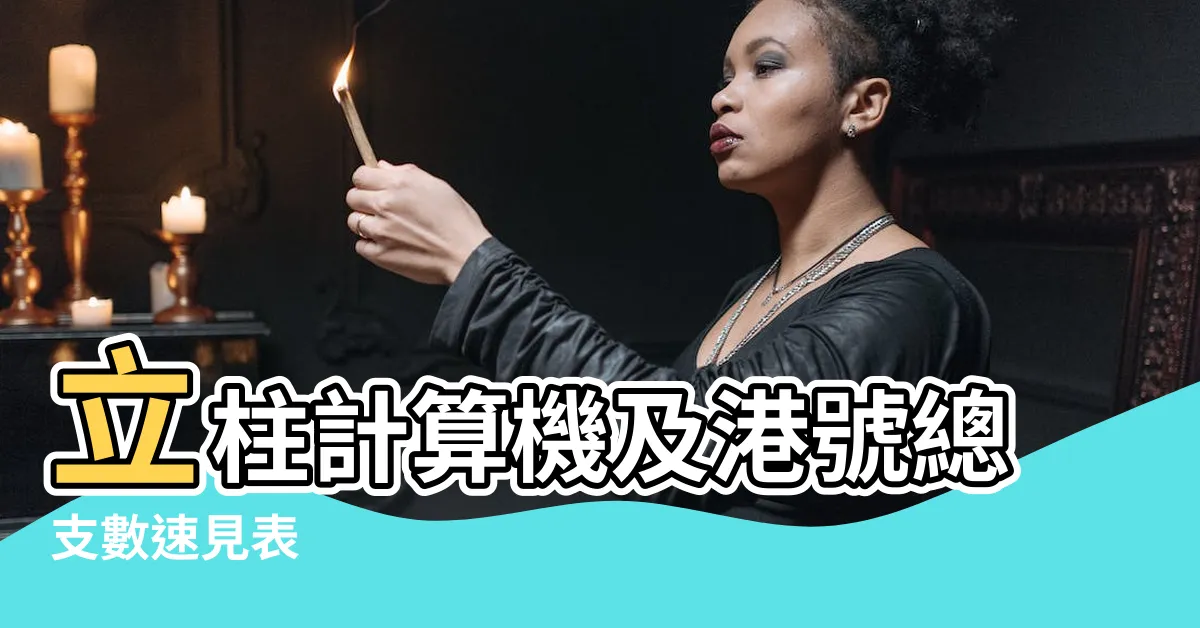 【港號(立柱碰)總支數速見表】立柱計算機及港號總支數速見表