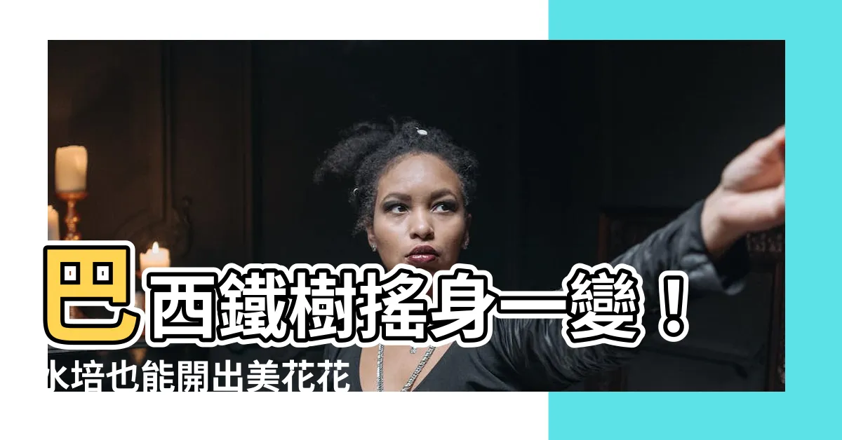 【巴西鐵樹水培】巴西鐵樹搖身一變！水培也能開出美花花，輕鬆養出幸福盆栽