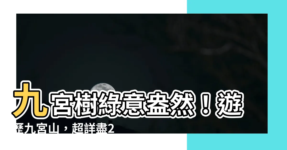 【九宮樹】九宮樹綠意盎然！遊歷九宮山，超詳盡2024旅遊攻略