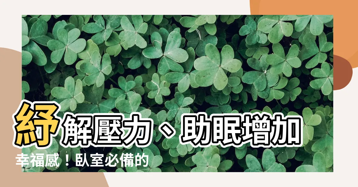 【卧室植物】紓解壓力、助眠增加幸福感！卧室必備的10種放鬆植物