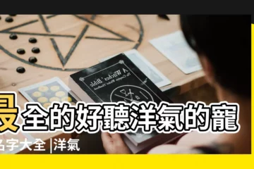 【特別寵物名】最全的好聽洋氣的寵物名字大全 |洋氣有內涵的狗狗名字 |超可愛的寵物名 |