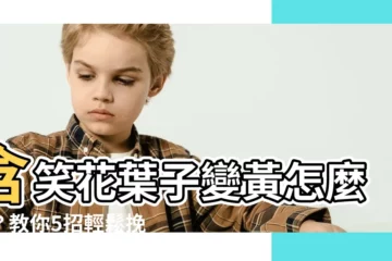 【含笑花葉子變黃】含笑花葉子變黃怎麼辦？教你5招輕鬆挽救！