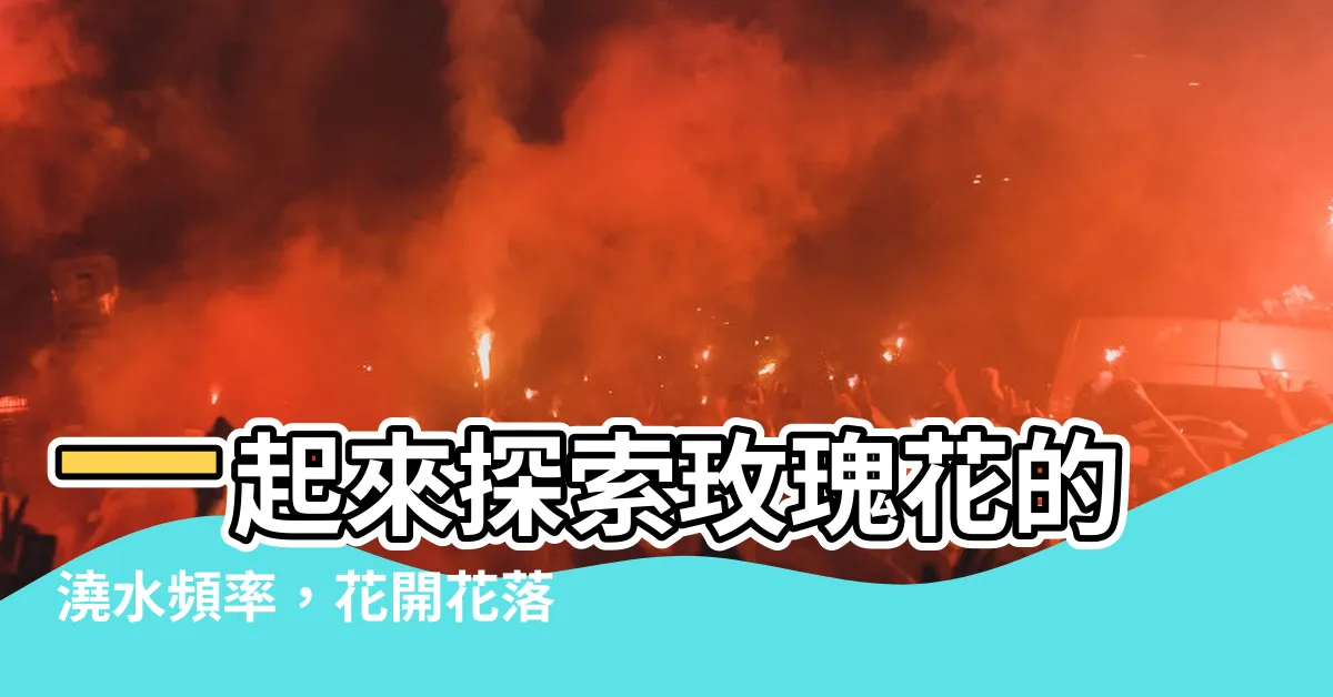 【玫瑰花多久澆一次水】一起來探索玫瑰花的澆水頻率，花開花落正確的秘訣