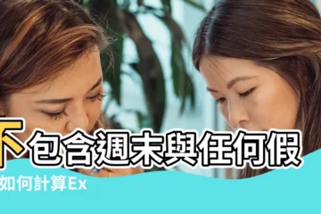 【算任何日子之間的天數】不包含週末與任何假期 |如何計算Excel中兩個日期之間的天數 |工作日和週末 |