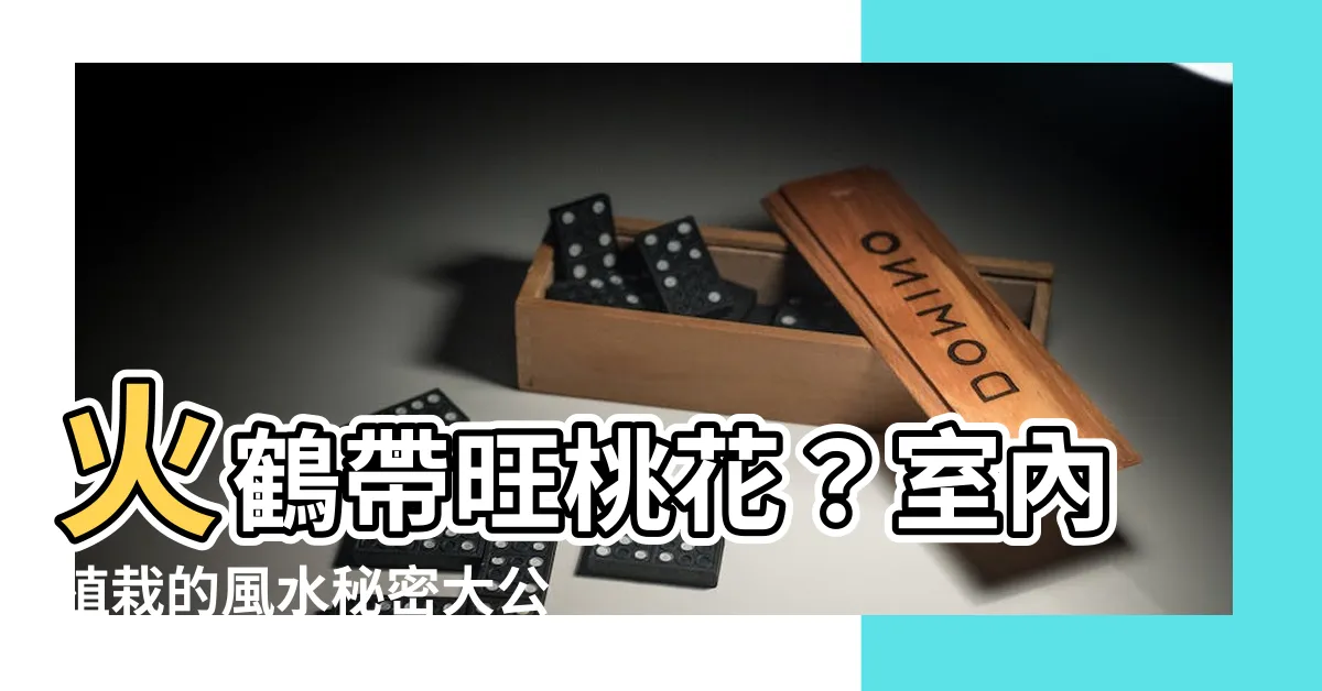 【火鶴 風水】火鶴帶旺桃花？室內植栽的風水秘密大公開！