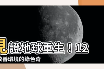 【改善環境的方法】見證地球重生！12個改善環境的綠色奇招