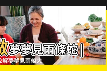 【夢到兩條蛇在門上】做夢夢見兩條蛇 |周公解夢夢見兩條大蟒蛇是什麼意思做夢夢到兩 |夢見兩條蛇在家遊走 |