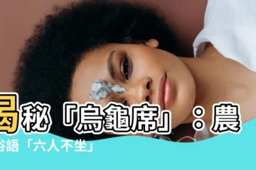 【何謂烏龜席】揭秘「烏龜席」：農村俗語「六人不坐」的潛在含義