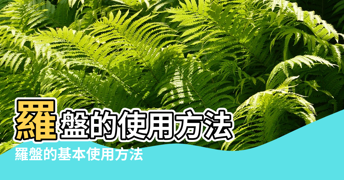 【風水羅盤的使用方法】羅盤的使用方法 |羅盤的基本使用方法 |雲清物語 |